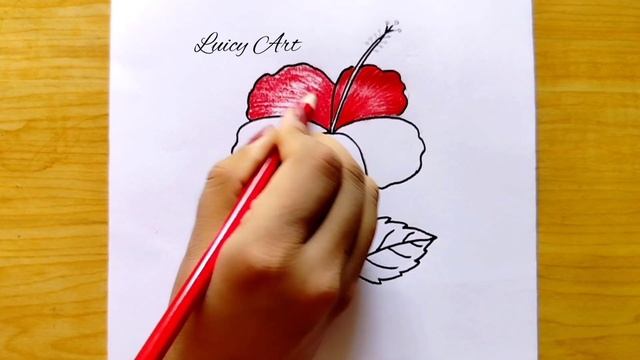 How to Draw Hibiscus Flower Easy|| Hibiscus Flower Drawing|| Flower Drawing смотреть онлайн