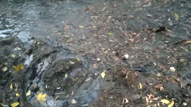 Жихорец 23.10. Расчистка русла продолжается. смотреть онлайн