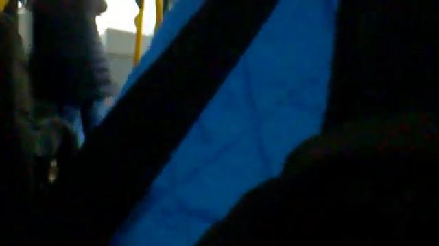 бездомная собака в абтобусе смотреть онлайн