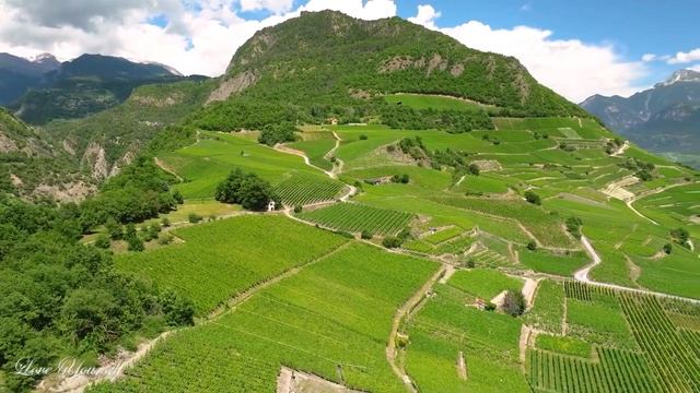 12시간 따듯한 봄맞이 힐링음악 ? 아침음악, 스트레스해소음악, 명상음악, 요가 (Spring Piano) смотреть онлайн