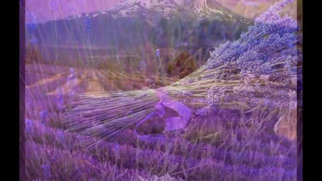 Lavender смотреть онлайн