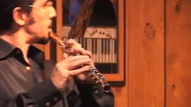 SF INT FLUTE FEST Pt 5; Flight of the BumbleBee by Bulent Evcil смотреть онлайн
