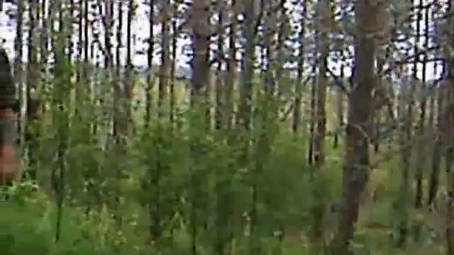 Линия Маннергейма 2010 год смотреть онлайн