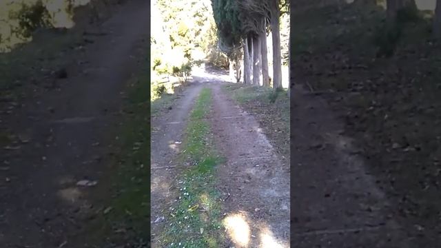 Эшера смотреть онлайн