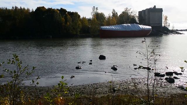 Relax in Helsinki zoo смотреть онлайн