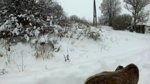 Заметает...