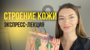 Строение кожи, эпидермис, дерма, лекция по косметологии