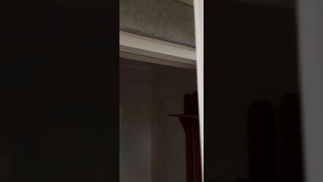 КАКИЕ ВХОДНЫЕ ПЛАСТИКОВЫЕ ДВЕРИ ВЫБРАТЬ В ДОМ. КАЛИНИНГРАД смотреть онлайн