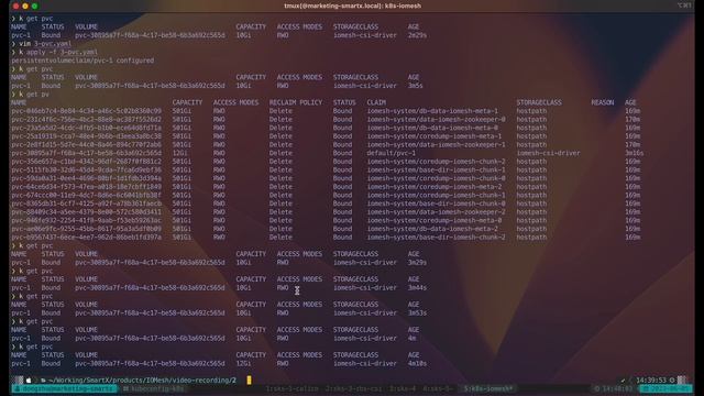 IOMesh 1.0 Demo - Persistent Volumes