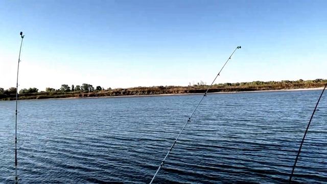 РЫБАЛКА НА САЗАНА !!! РЫБЫЛКА НА ДОНУ!!! смотреть онлайн