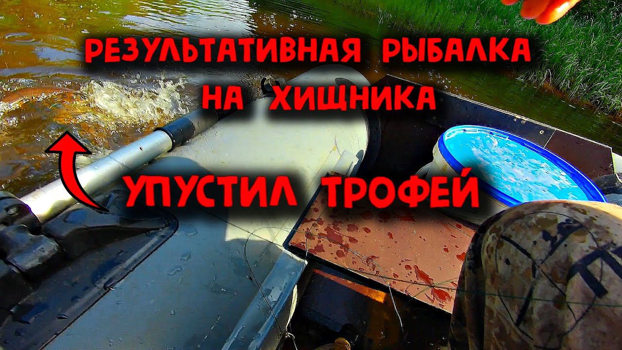 ✔️ Упустил трофей Результативная рыбалка на хищника смотреть онлайн