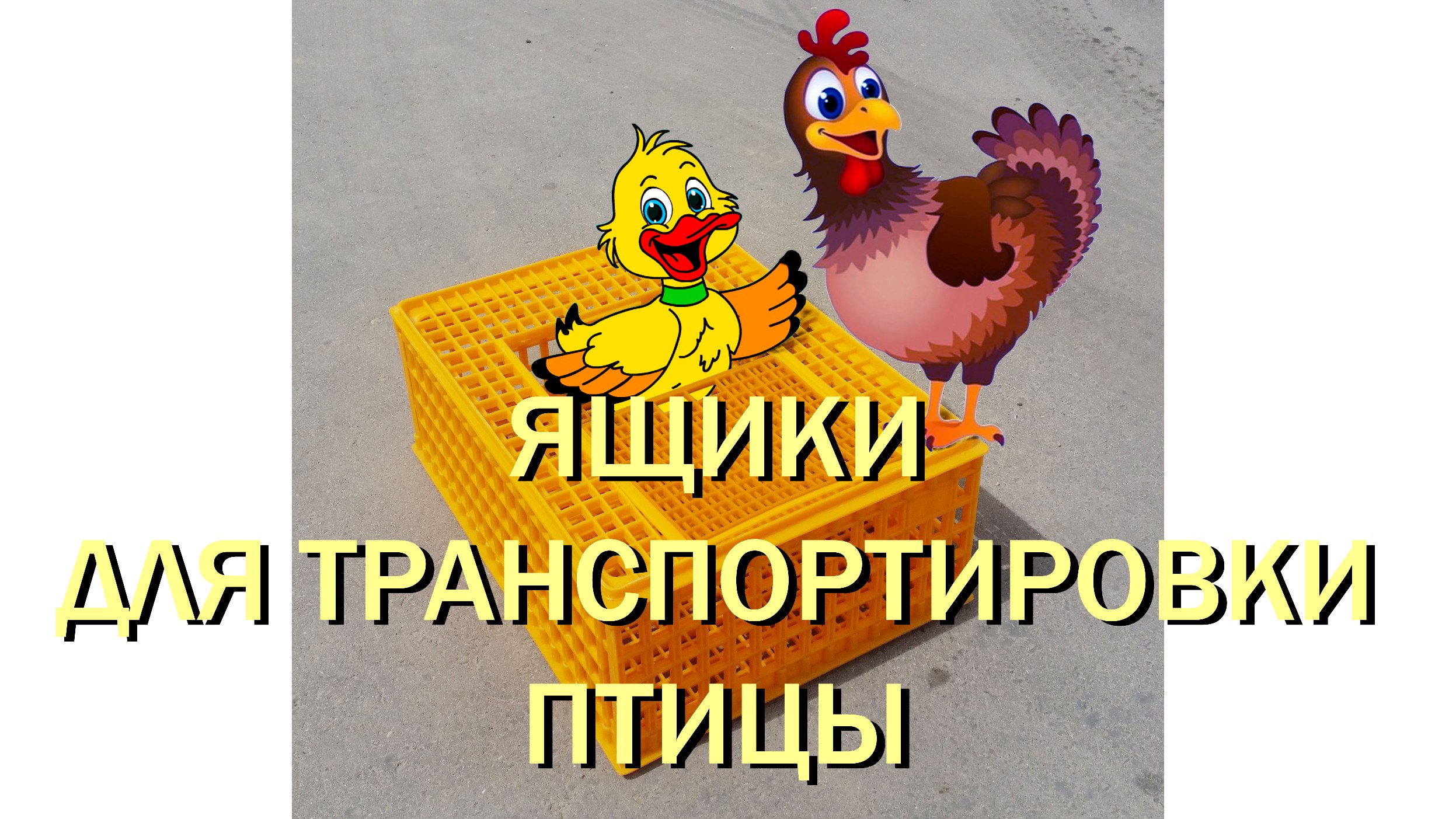 Ящик для транспортировки живой птицы. Удобный! Прочный! Вместительный.mp4 смотреть онлайн