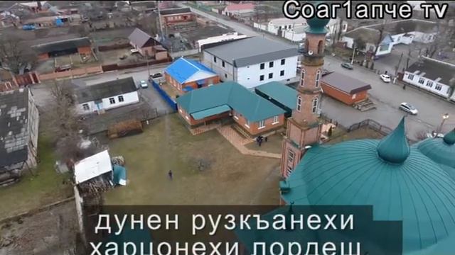 сагопши тв смотреть онлайн