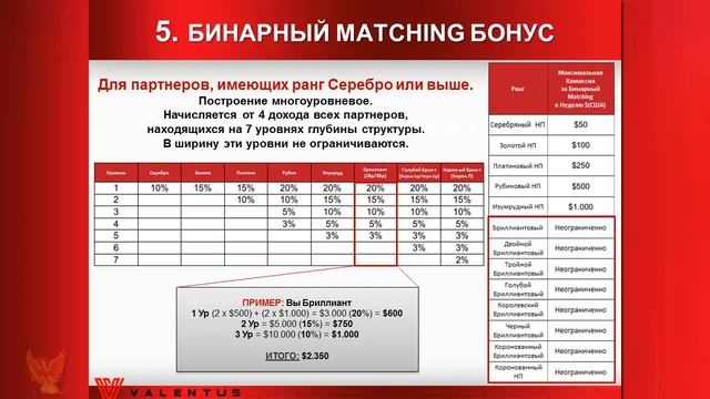 Короткая презентация Бизнес плана Valentus смотреть онлайн