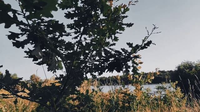 VID 20220721 194607 Только возможность фрагмента (Г. Айги)...Павел Васильев Лахтинский смотреть онлайн