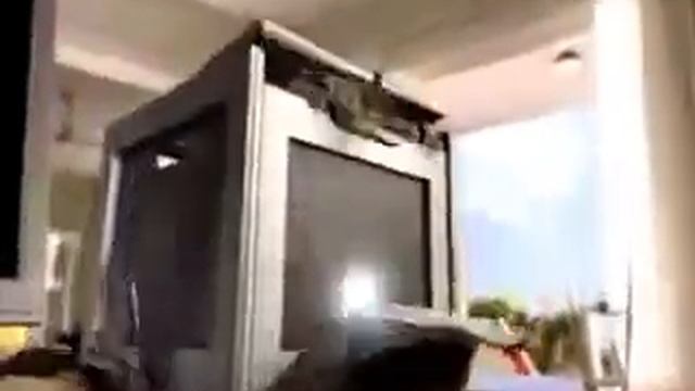 Intel Grey Box Commercial - 2006 (Intel Pentium D - Casper Turkey) смотреть онлайн