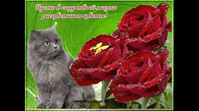 Поздравление женщин с праздником 8 марта. Congratulations to women on the 8th of March. смотреть онлайн