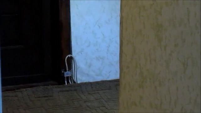 Кортеж депутата)))) смотреть онлайн
