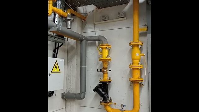 Биогазовая установка СБГ-50 на ферме «Амурский партизан»