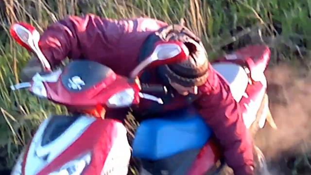 Павлин новоладожский канал9 смотреть онлайн