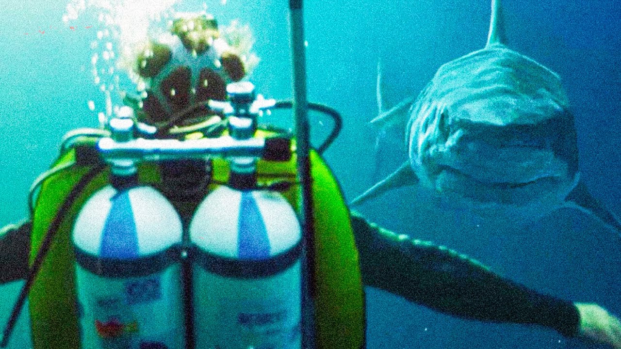 Акулы в Париже — Русский трейлер (Дубляж, 2024) смотреть онлайн