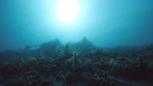 8 Most Dangerous Nuclear Submarine Wrecks! смотреть онлайн