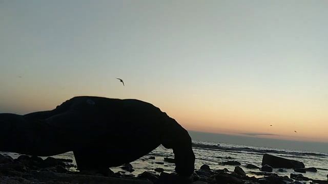 Море, чайки, отжимания, свежий воздух))) смотреть онлайн