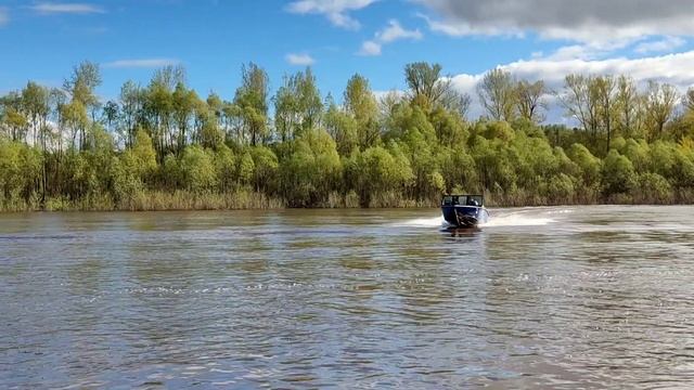 Алюминиевая лодка "Триера 515 fish pro" смотреть онлайн