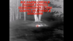 ОХОТА С ТЕПЛОВИЗОРОМ