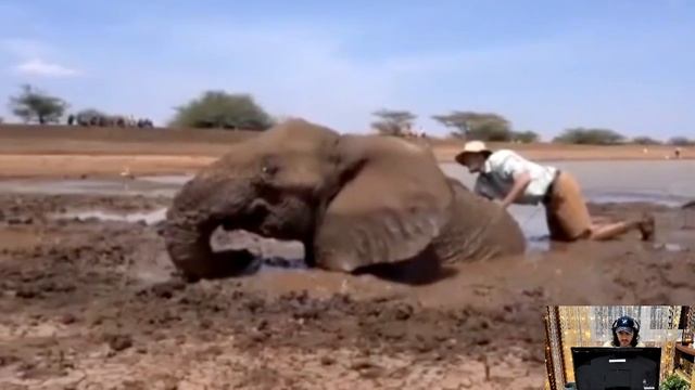 ? Мужчина заметил странную КУЧУ, которая издавала жалобный ЗВУК! Подойдя ближе он УЖАСНУЛСЯ смотреть онлайн