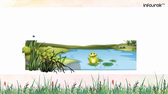 Буква Ж Дошкольники Буквы #8 Инфоурок смотреть онлайн