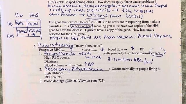 A&P2–Blood: Erythrocyte Disorders: Polycythemia смотреть онлайн