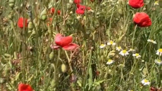 Рецепты из детства