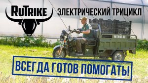 Rutrike - электрические грузовые трициклы. Заряжен на перевозки!