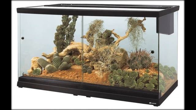 Террариум для игуаны цена смотреть онлайн