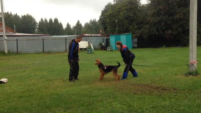 Динамит Ф, Эриксон