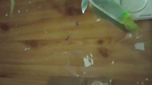 Тест пожарной кнопки