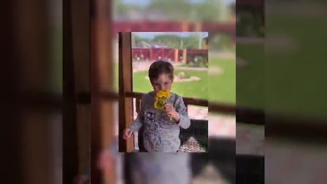 Всемирный день одуванчиков - воспитанники МБДОУ д/с № 50 г. Красногорск смотреть онлайн