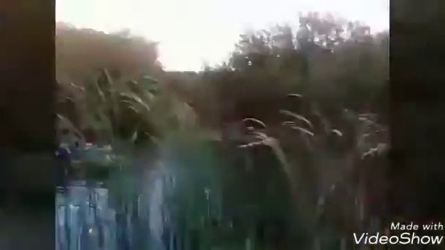 Береговое 2017 смотреть онлайн