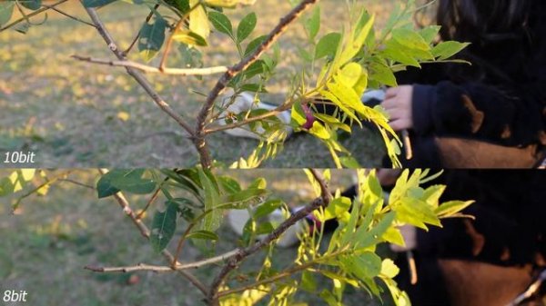 10bit vs 8bit video test