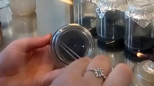 Введение в культуру in vitro расторопши пятнистой смотреть онлайн