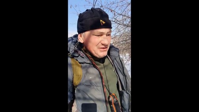 О бобрах, жуликах и лосях смотреть онлайн