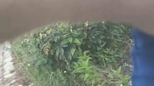 Насос для полива из емкости Ставр