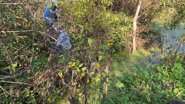 Як правильно збирати гриби? смотреть онлайн