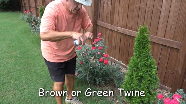 How to Prune Knock Out Rose - Roses Falling Over смотреть онлайн