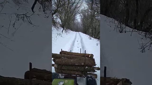 Заготовка дров.Зубр 8 смотреть онлайн