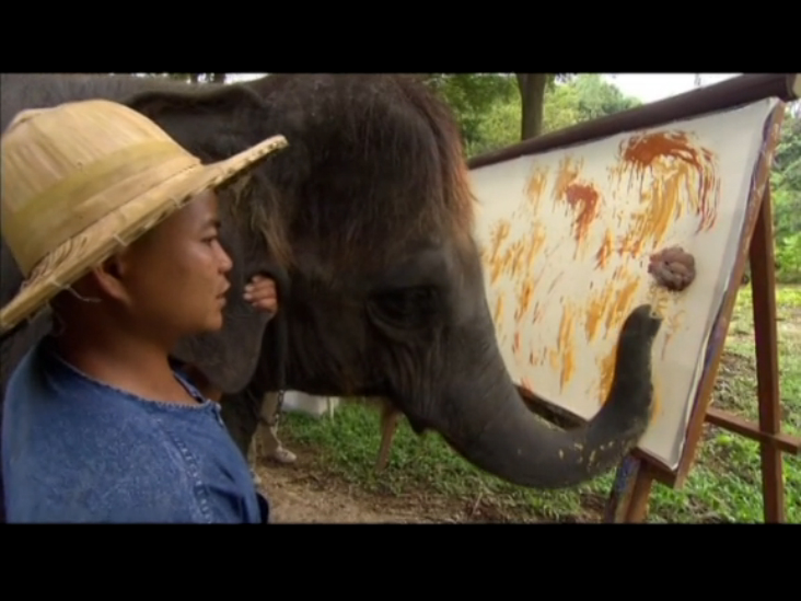 Необыкновенные животные (Extraordinary Animals) смотреть онлайн