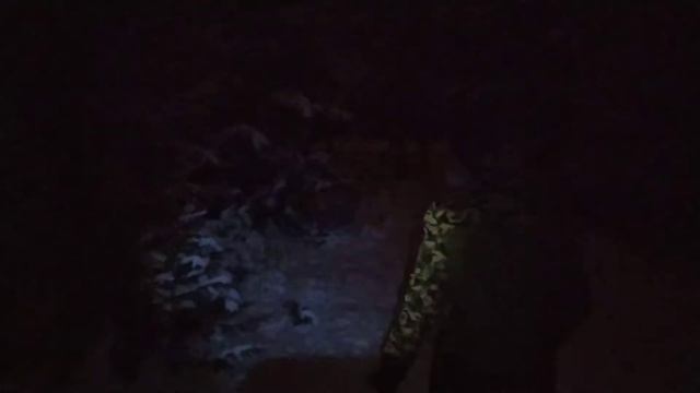 веник из пихты для бани. смотреть онлайн