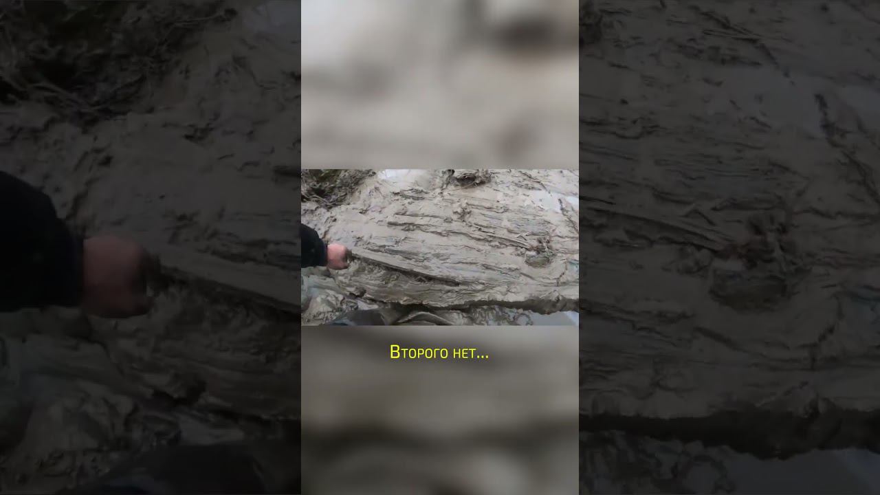 Потеряли #4x4 #offroad #shorts #НаДжипе #offroad4x4 #алтай4х4 смотреть онлайн