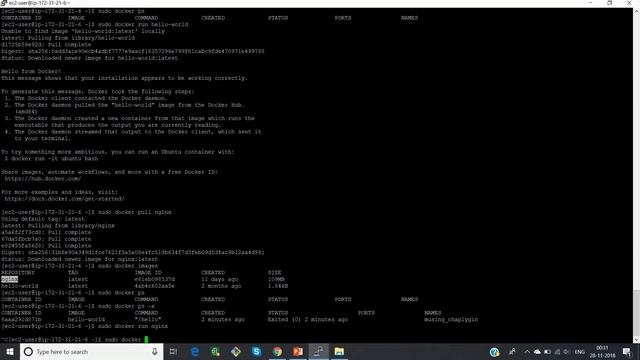 Install Docker on Linux Instance | Docker Tutorial For Beginners смотреть онлайн
